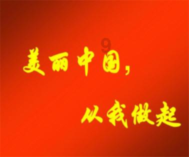 寻找沙漠珍宝